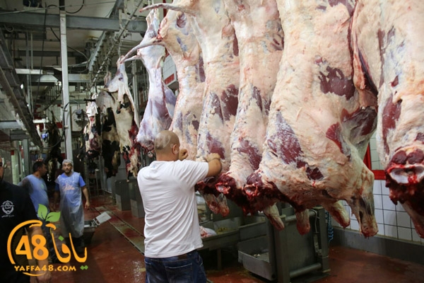 Jam3iya ada7ya (28).jpg